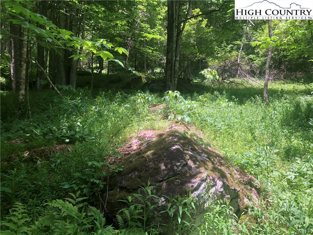 Image number 17 for the current listing