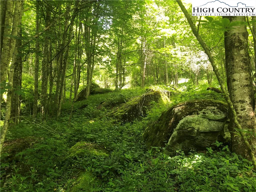 Image number 18 for the current listing