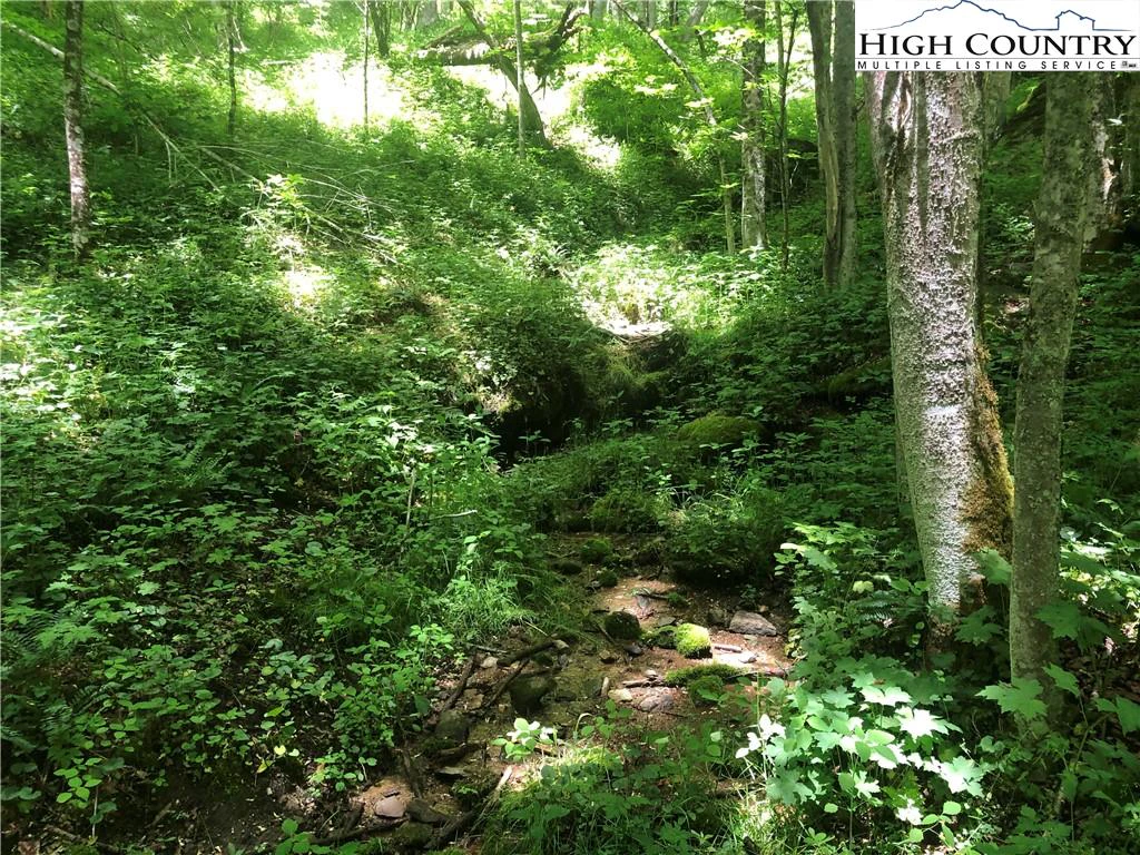 Image number 20 for the current listing