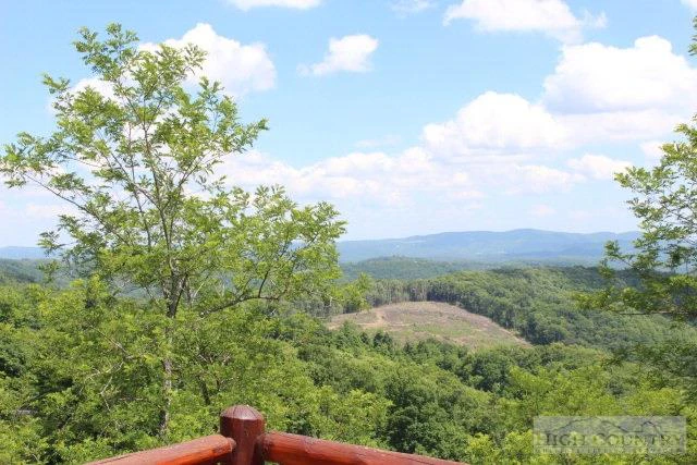 Image number 2 for the current listing
