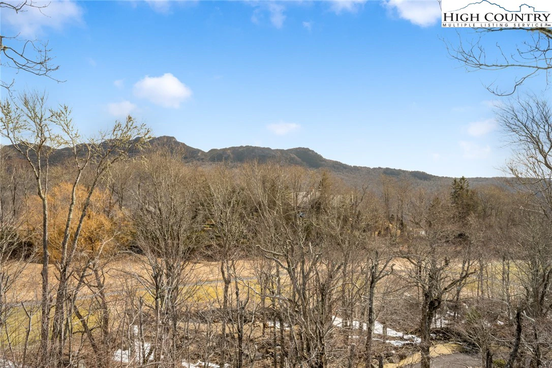 Image number 7 for the current listing