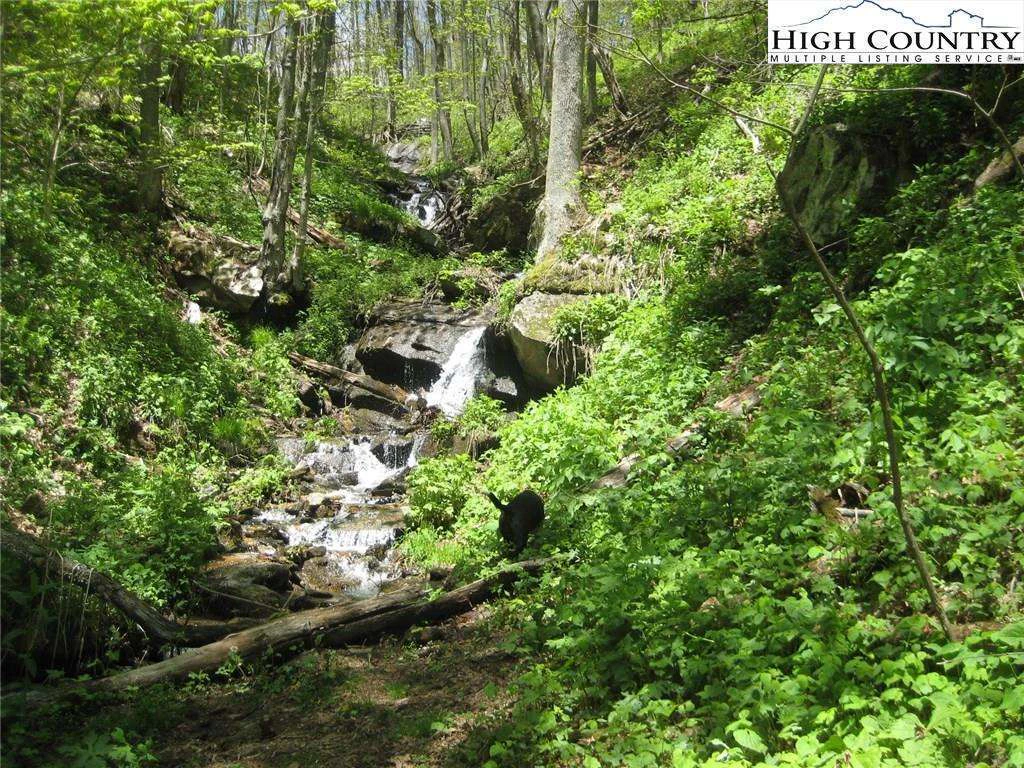 Image number 1 for the current listing