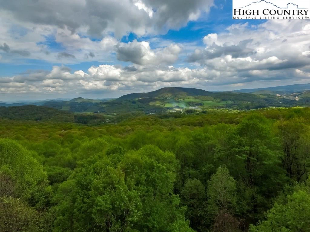 Image number 4 for the current listing