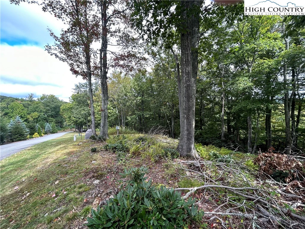 Image number 14 for the current listing