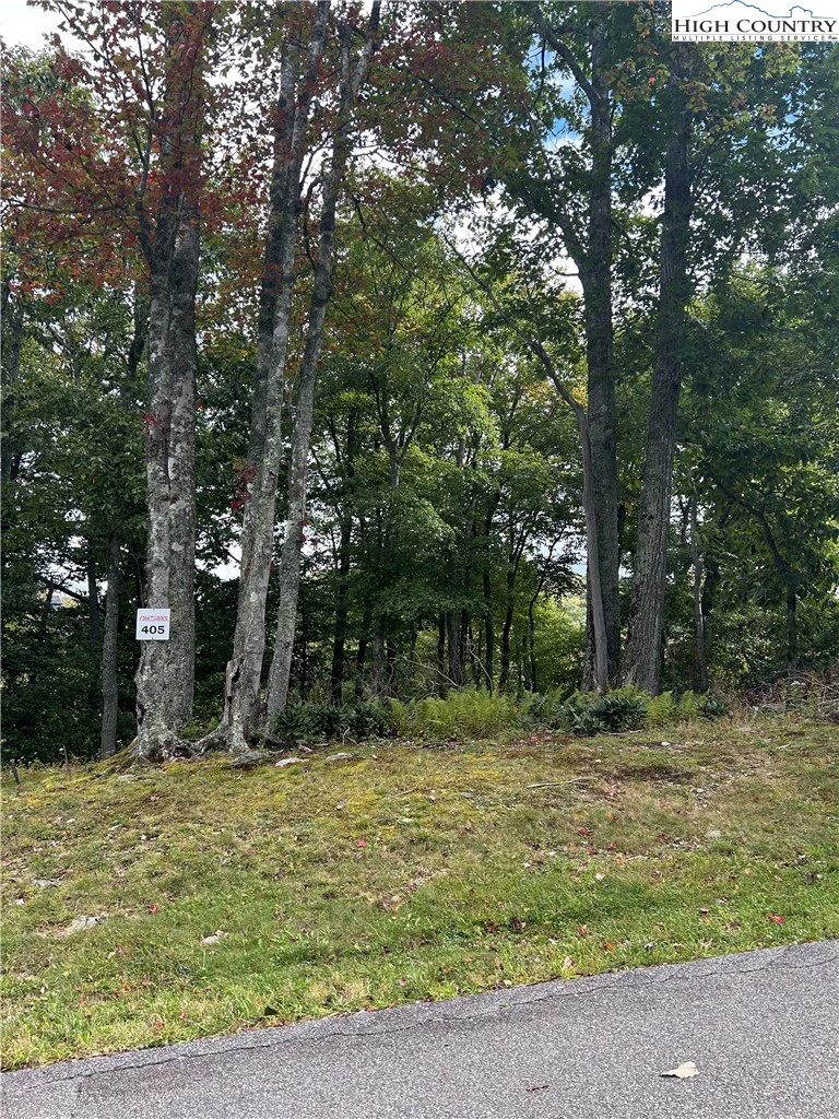 Image number 1 for the current listing