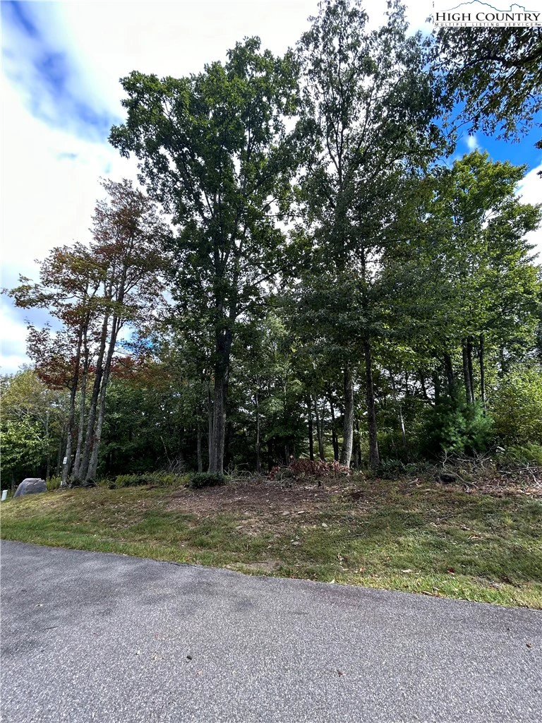 Image number 7 for the current listing