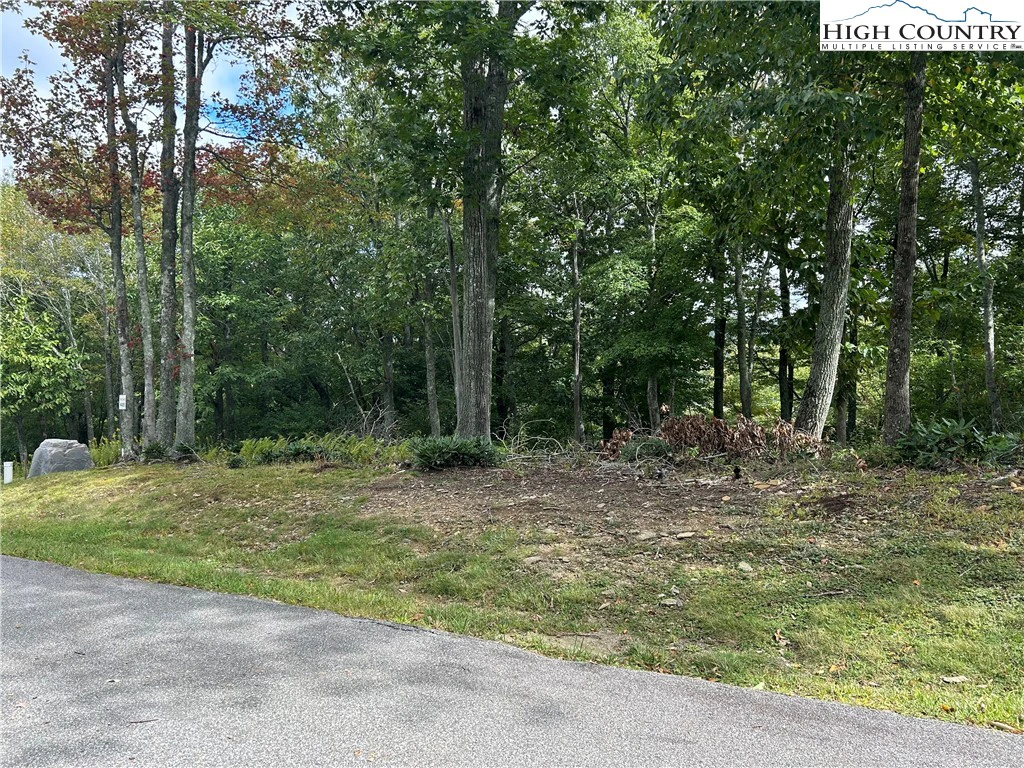 Image number 6 for the current listing