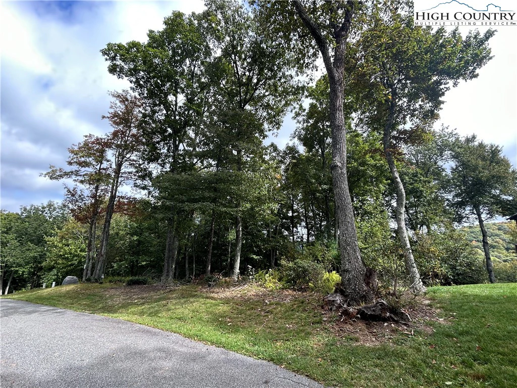 Image number 5 for the current listing