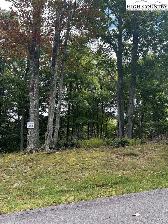 Image number 1 for the current listing