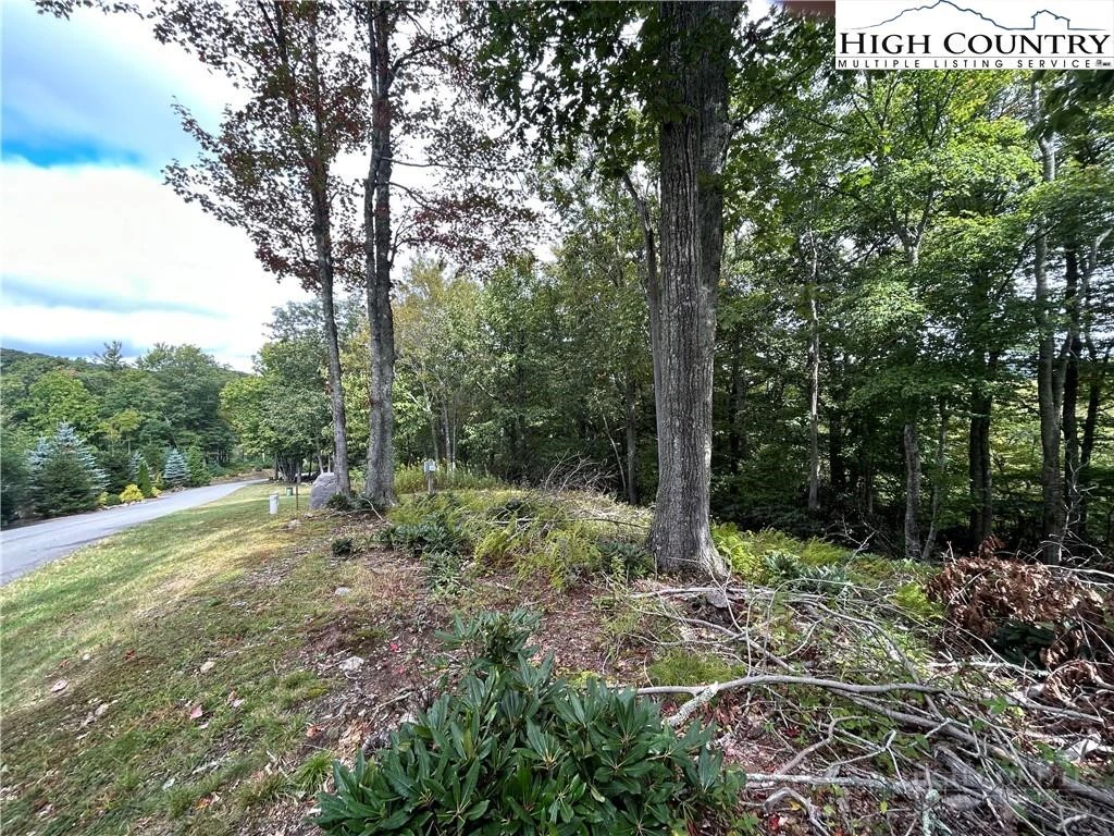 Image number 4 for the current listing