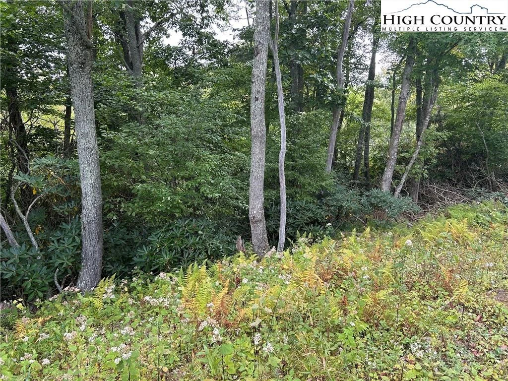Image number 6 for the current listing