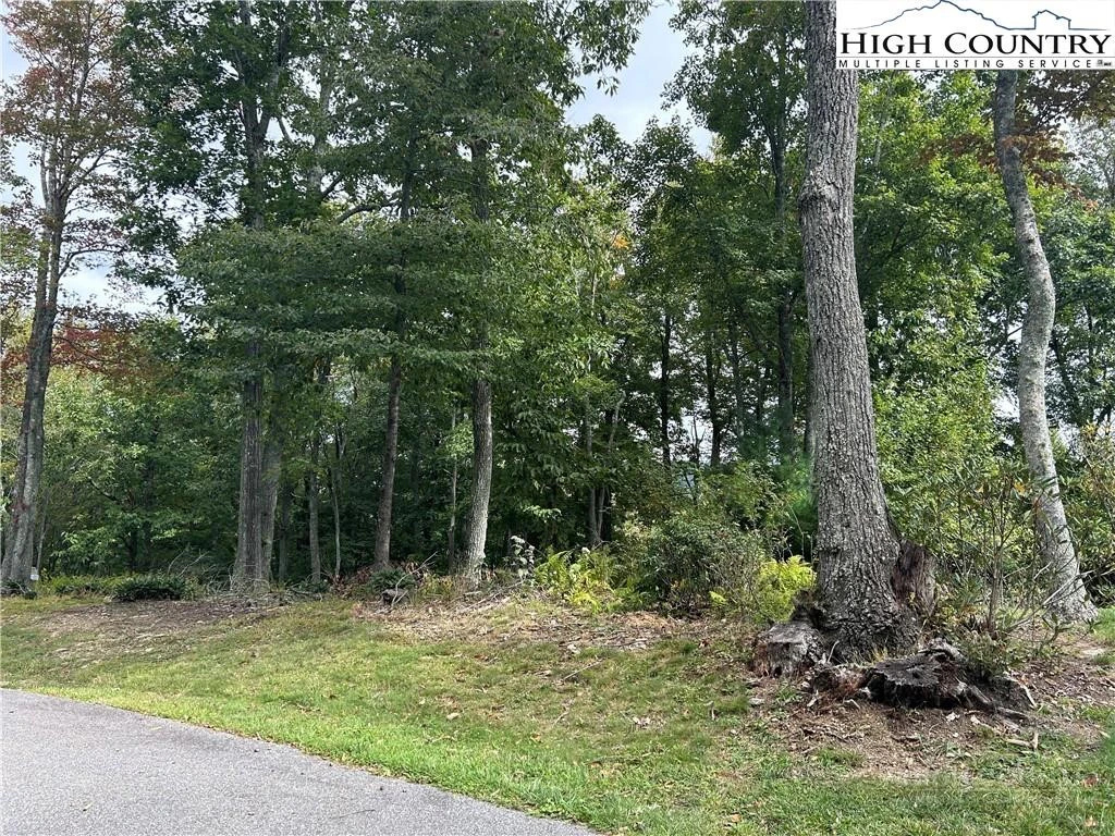 Image number 11 for the current listing