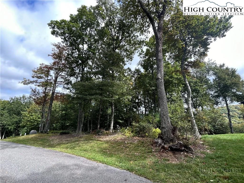 Image number 14 for the current listing