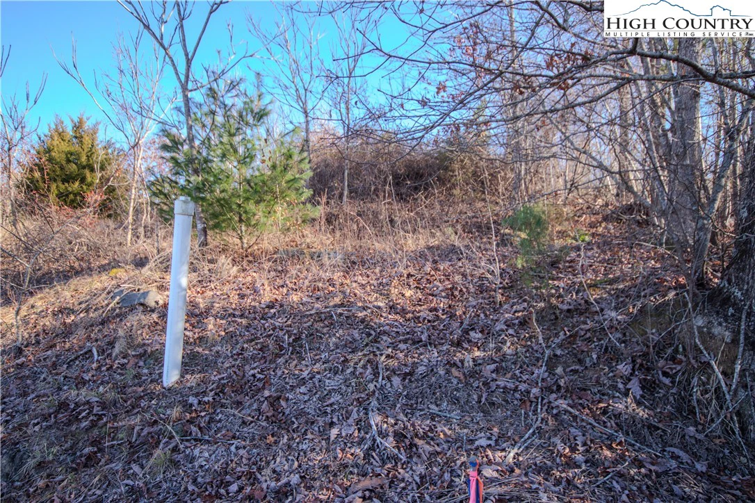Image number 3 for the current listing