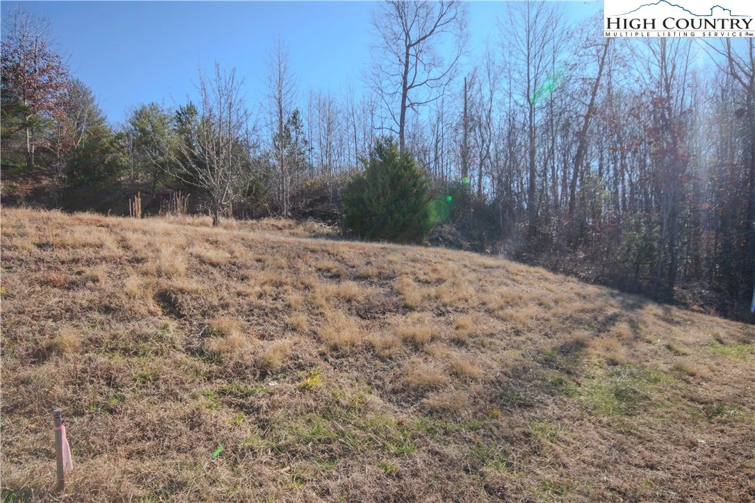 Image number 4 for the current listing