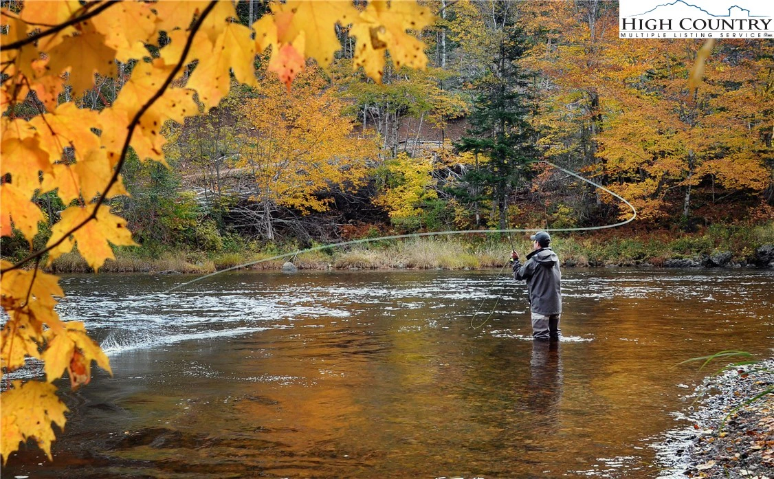 Image number 25 for the current listing