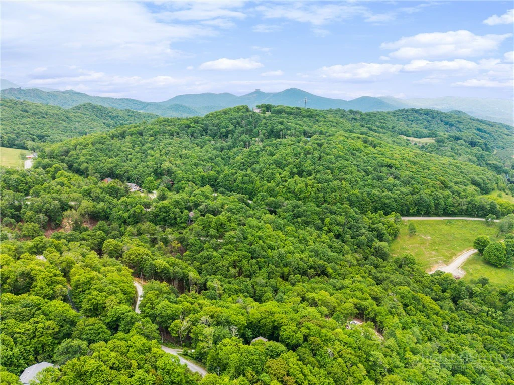 Image number 45 for the current listing