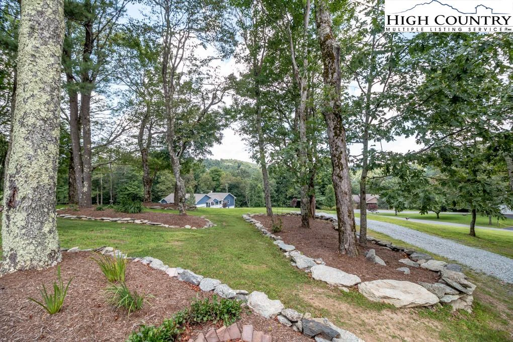 Image number 2 for the current listing