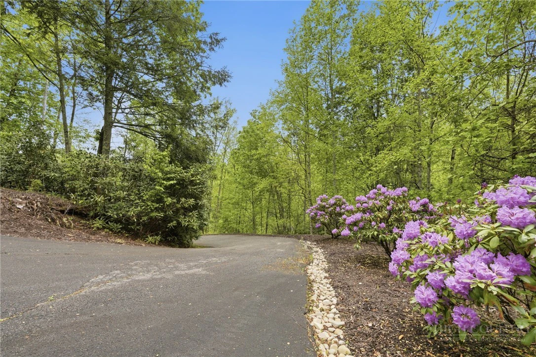 Image number 4 for the current listing
