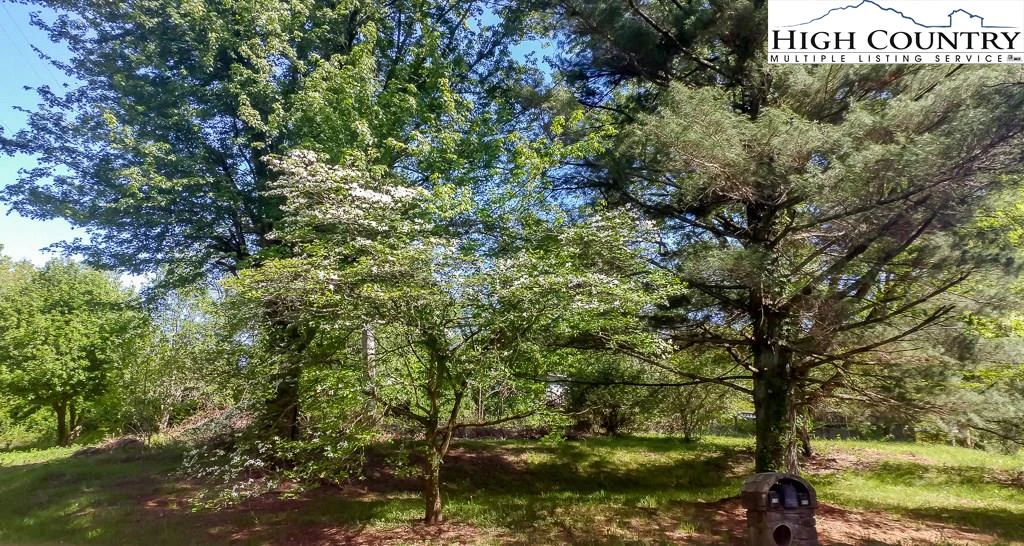 Image number 1 for the current listing