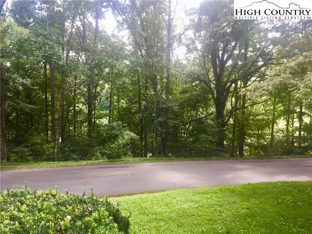 Image number 4 for the current listing