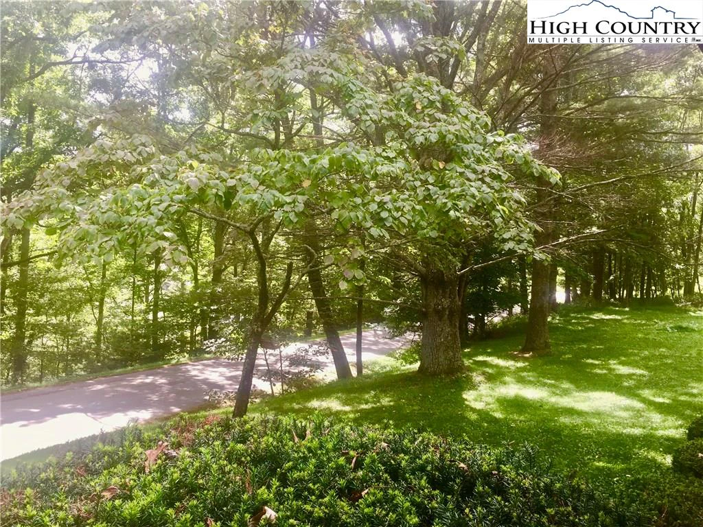 Image number 5 for the current listing