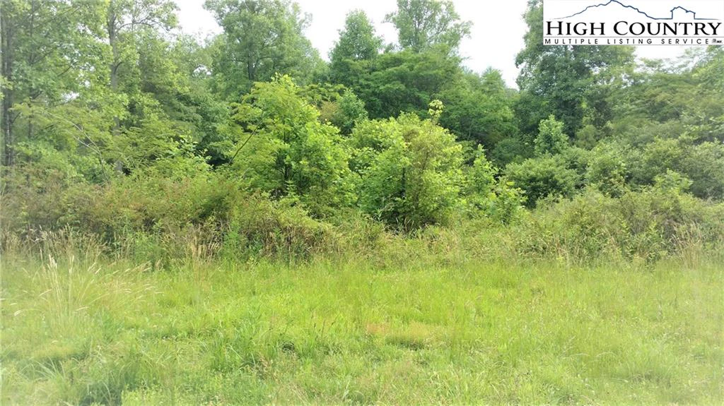 Image number 1 for the current listing