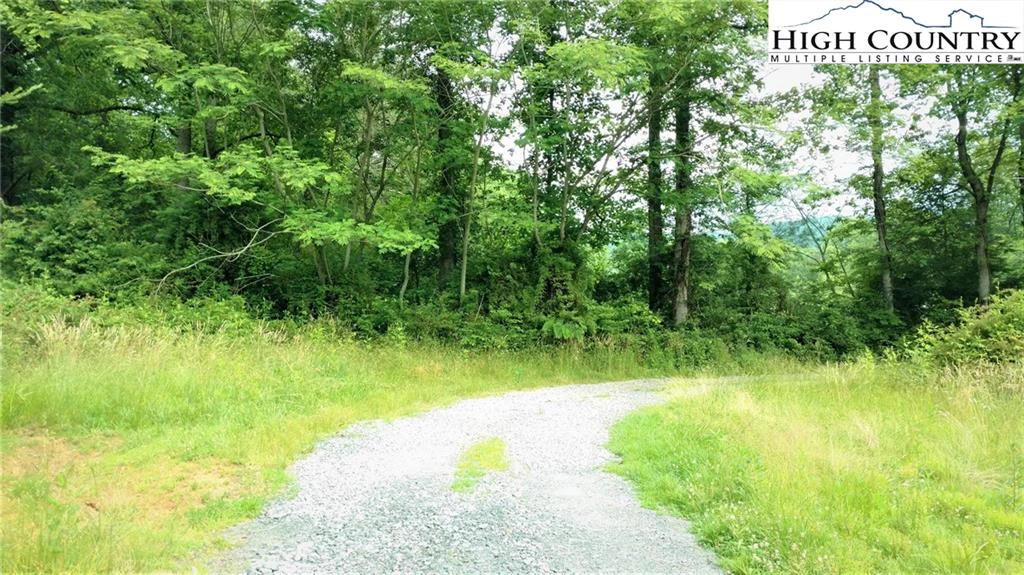Image number 4 for the current listing