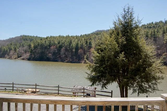 Image number 13 for the current listing