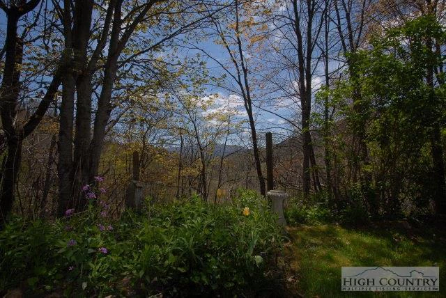 Image number 2 for the current listing