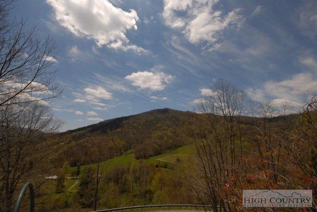 Image number 11 for the current listing