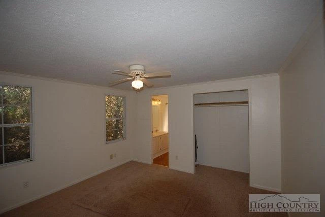 Image number 3 for the current listing