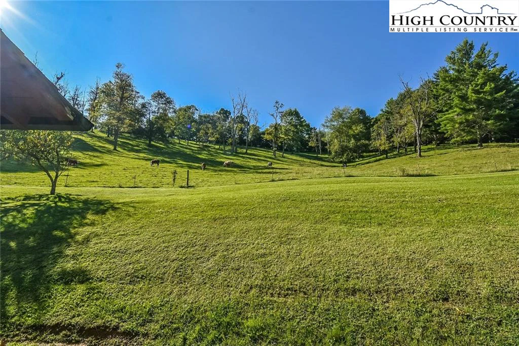 Image number 20 for the current listing
