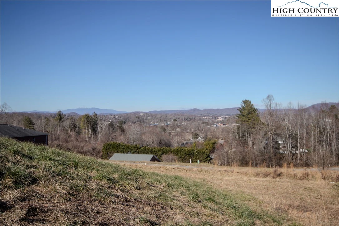 Image number 4 for the current listing