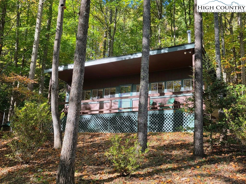 Image number 1 for the current listing
