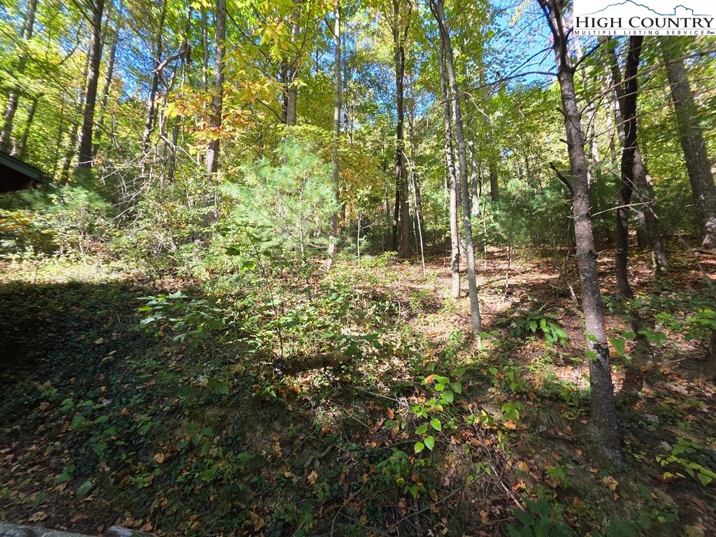 Image number 6 for the current listing