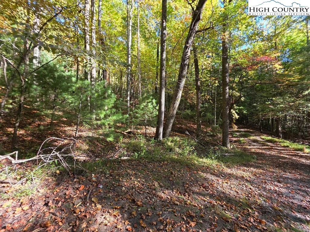 Image number 8 for the current listing