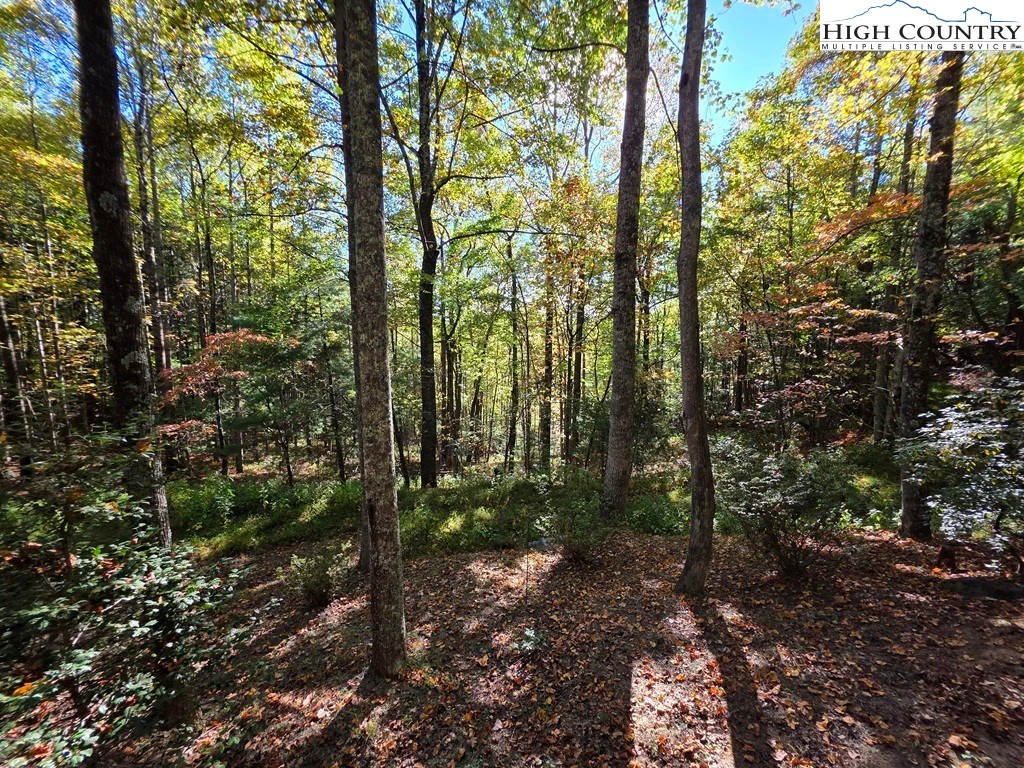 Image number 11 for the current listing