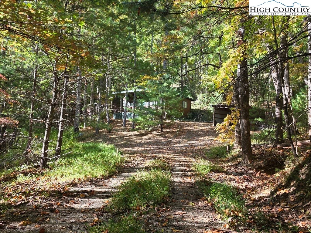 Image number 13 for the current listing