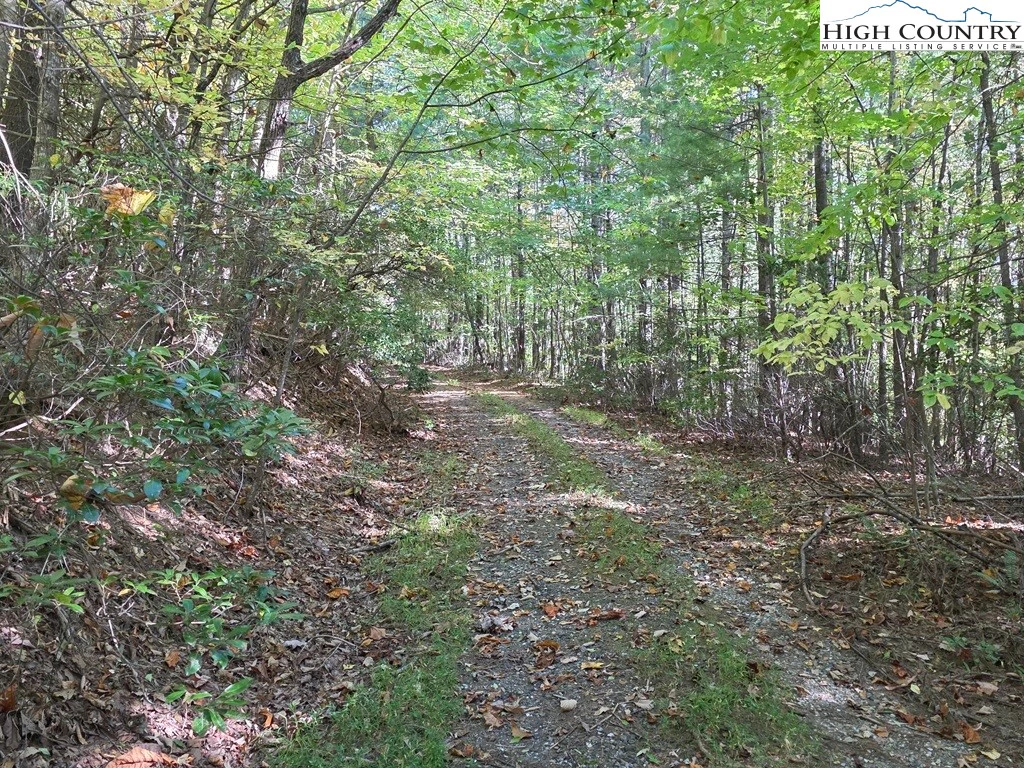 Image number 14 for the current listing