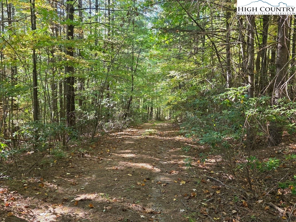 Image number 17 for the current listing