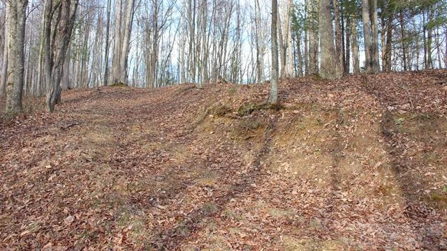 Image number 4 for the current listing