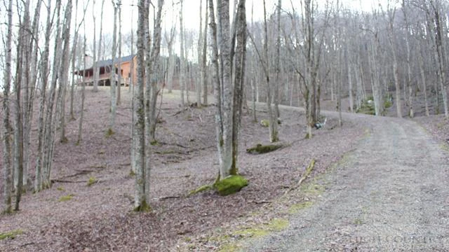 Image number 6 for the current listing