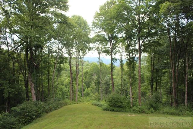 Image number 31 for the current listing