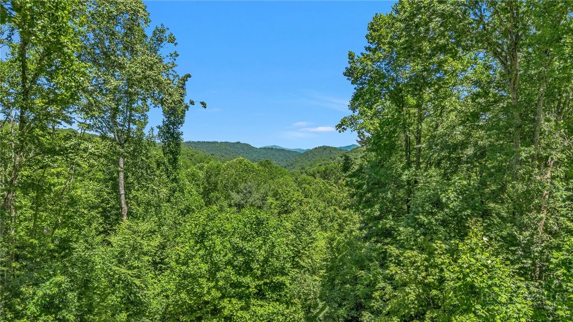 Image number 3 for the current listing