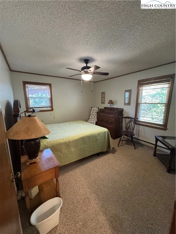 Image number 15 for the current listing