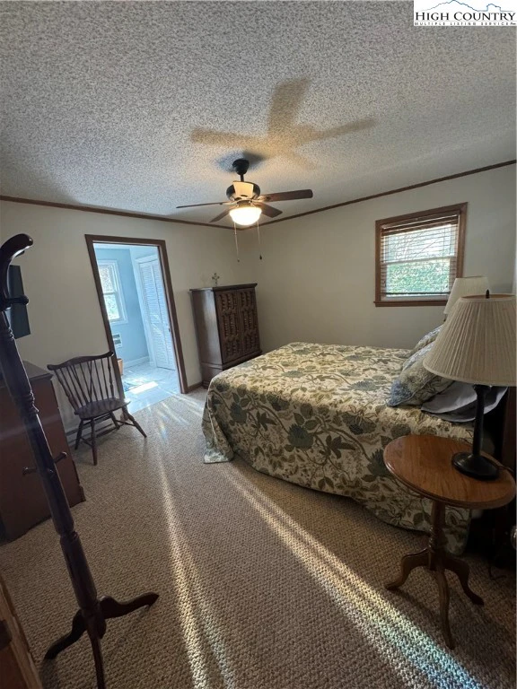 Image number 20 for the current listing