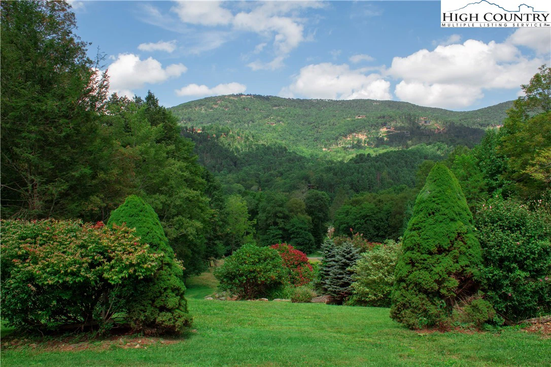 Image number 8 for the current listing