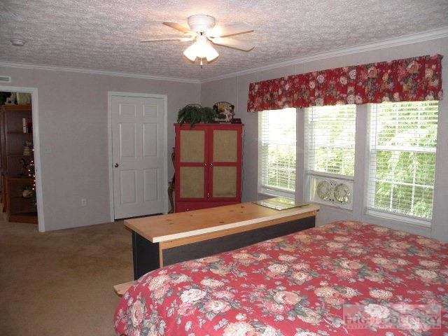 Image number 18 for the current listing