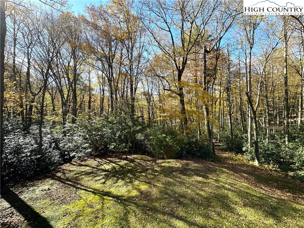 Image number 18 for the current listing